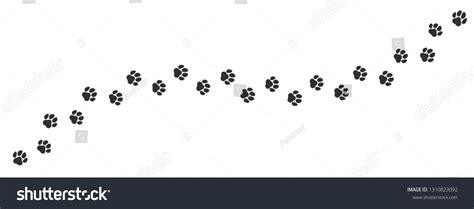 paw print trail  white background vector cat  dog pawprint walk
