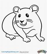 Hamster Dwarf sketch template