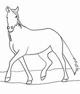 Coloring Scribblefun Horses sketch template