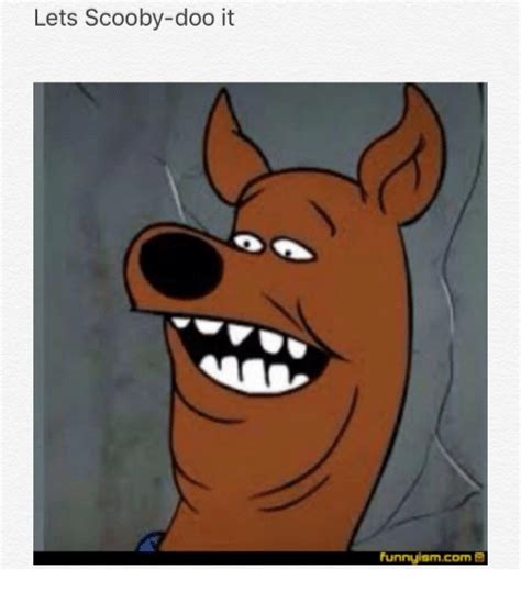 Search Scooby Doo Fred Meme Memes On Me Me