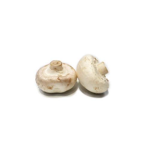 mushrooms cup biviano sons