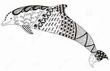 Coloring Pages Zentangle Dolphin sketch template