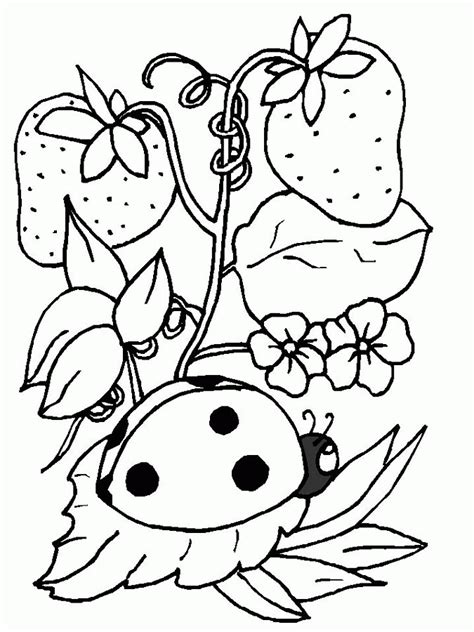 ladybug coloring pages  print coloring home
