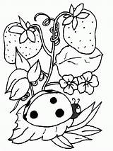 Coloring Ladybug Pages Print Printable Kids Popular sketch template
