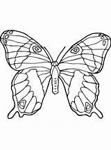 Butterfly Butterflies Coloring Kids Pages Fun Vlinders Vlinder sketch template