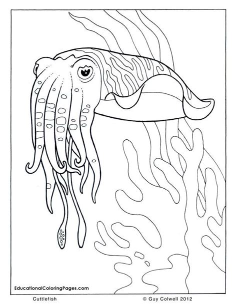 mention  result coloring pages  preschoolers  proudly