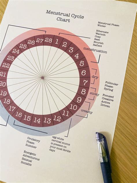 menstrual cycle chart with cmm plain etsy