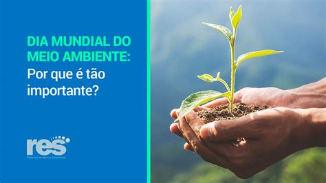 Dia Do Meio Ambiente Por Que é Tão Importante Res Brasil
