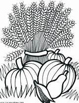 Coloring Pages Fall Harvest Printable Adult Autumn Adults Wheat Cornucopia Thanksgiving Flowers Sheets Color Colouring Festival Drawing Scenes Leaves Easy sketch template