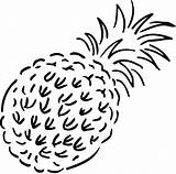 Fruit Pineapple Kids Coloring Drawing Fruits Pages Outline Clipart Colouring Cartoon Cliparts Pineapples Library Preschoolers Getdrawings Popular Clip Coloringhome sketch template
