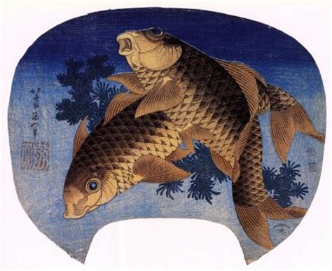 chinese  japanese koi art owlcation