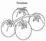 Coloring Tomatoes Pages Vegetables Fruits Garnet Carrot Fruit sketch template