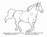 Horse Coloring Pages Galloping Gallop Small Sheets Color Sheet Getdrawings Butterfly Book Print Getcolorings Colorings sketch template