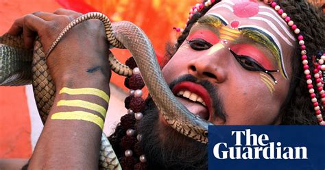 the hindu festival maha shivaratri in pictures news