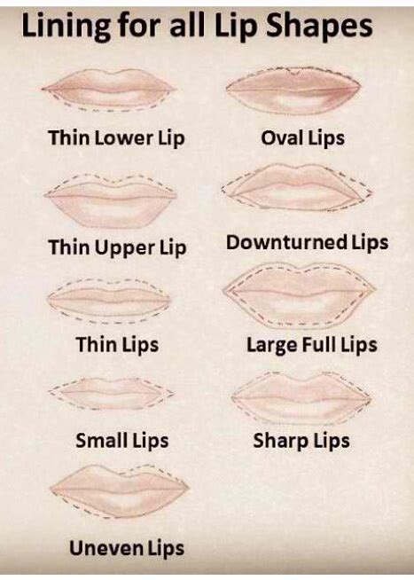 contour  lips shapes alldaychic