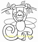 Swinging Coloring Monkey Monkeys Getcolorings Little sketch template
