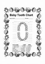 Teeth Dental Tooth Baby Chart Printable Charts Pages Coloring Health Facts Losing Order Care Kids Printables Teething Breastfeeding Characters Cartoon sketch template