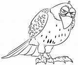 Hawk Coloring Red Tailed Printable Tail Getcolorings Getdrawings sketch template