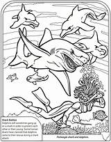 Coloring Pages Sharks Shark Biomes Biome Popular Ocean Choose Board Coloringhome sketch template