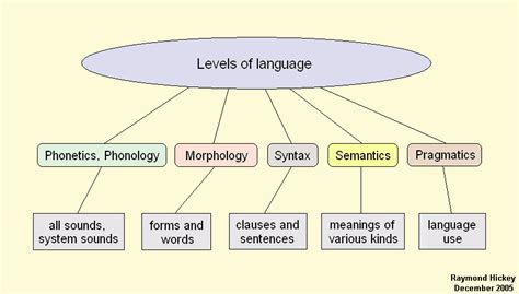 levels  language structure   language  speech units