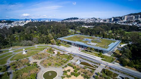 california academy  sciences takes sustainability  museum walls