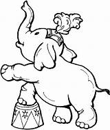 Circus Coloring Elephants Ringling Elephant Read Crafts sketch template