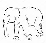 Elefante Siluetas Siluetta Sagoma sketch template