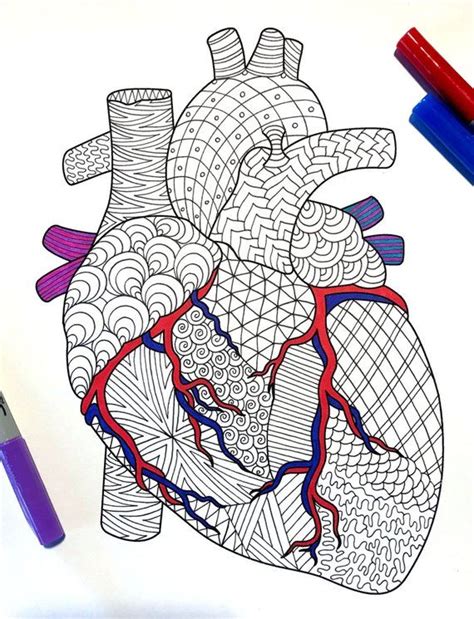 heart human anatomy  zentangle coloring page mandala drawing