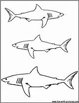Shark Requin Bull sketch template