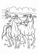Coloriage Coloriages Ausmalbilder Colorier Pferde Paarden Ausmalbild Amoureuse Chevaux Dreamworks Raskrasil Paard Klicke Craftwhack Animation Malvorlagen sketch template