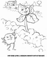 Cotton Coloring Pages sketch template
