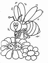Coloring Honey Bee Pages Colouring Library Clipart sketch template