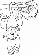 Monkey Coloring Pages Print Kids Tulamama Tree sketch template