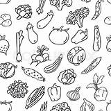 Vegetables Line Drawing Vector Food Lettuce Clip Iceberg Pattern Illustrations Hand Getdrawings sketch template
