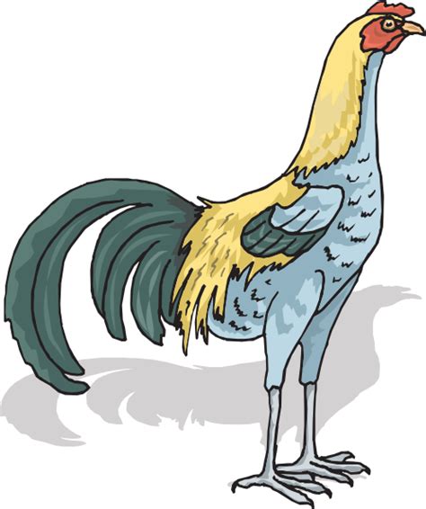 tall rooster clip art at vector clip art