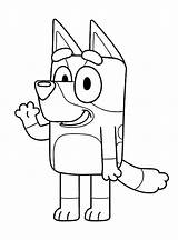 Bluey Dibujos Heeler Coloringonly Indy Chilli sketch template