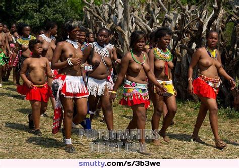 Zulu Maidens Zulu Reed Dance At Enyokeni Palace Nongoma South