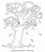 Coloring Tree Evergreen Getcolorings Seasons Autumn Four sketch template