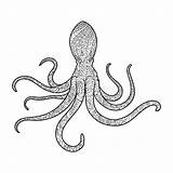 Octopus Coloring Book Adults Vector Adult Illustration Animal Stock sketch template