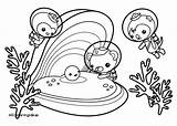 Octonauts Coloring Pages Octopod Tunip Getcolorings Getdrawings sketch template