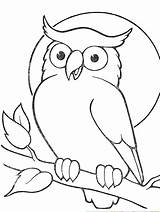 Owl Outline Drawing Owls Tattoo Branch Sitting Getdrawings sketch template
