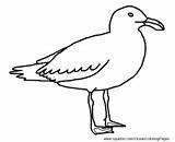 Seagull Coloring Cartoon Pages Seagulls Animal Facts Ocean Nemo Hubpages Google Search Drawing Gulls Bird Clipart Drawings Brighton Beach Templates sketch template