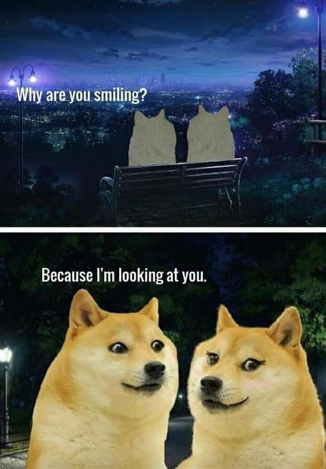 pin  ashi  doge cheems smile  doge lockscreen