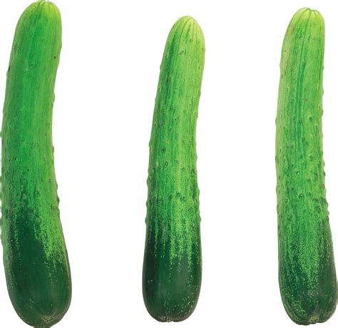 Cucumber Free Png Png Play