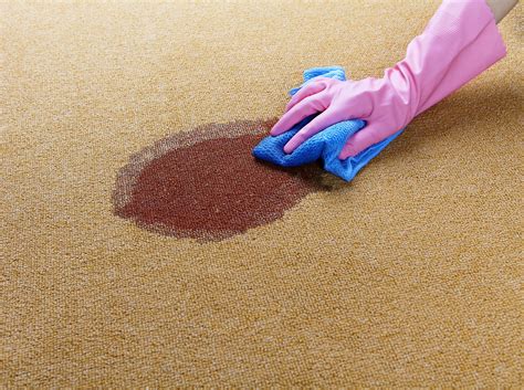 carpet stain removers