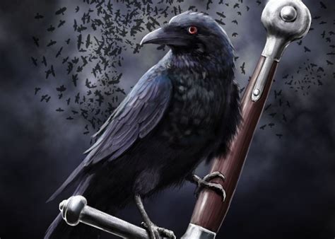 1000 Images About Ravens Crows On Pinterest Raven Crows And