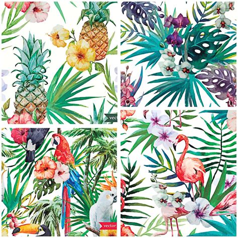 tropical pattern birds vector free download