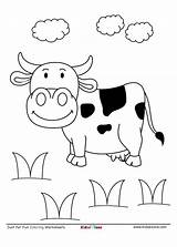 Cow Coloring Worksheet Pages Downloaded Pdf sketch template