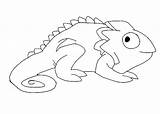 Chameleon Coloring Drawing Pages Color Print sketch template