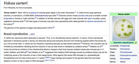 updates to the volvox carteri wikipedia page